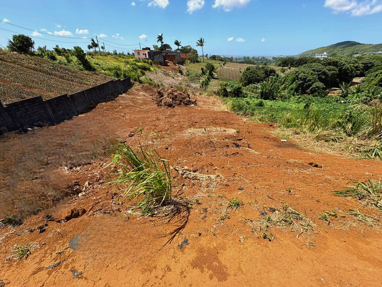 Image_, Terrain à batir, Long Mountain, ref :2510053SF