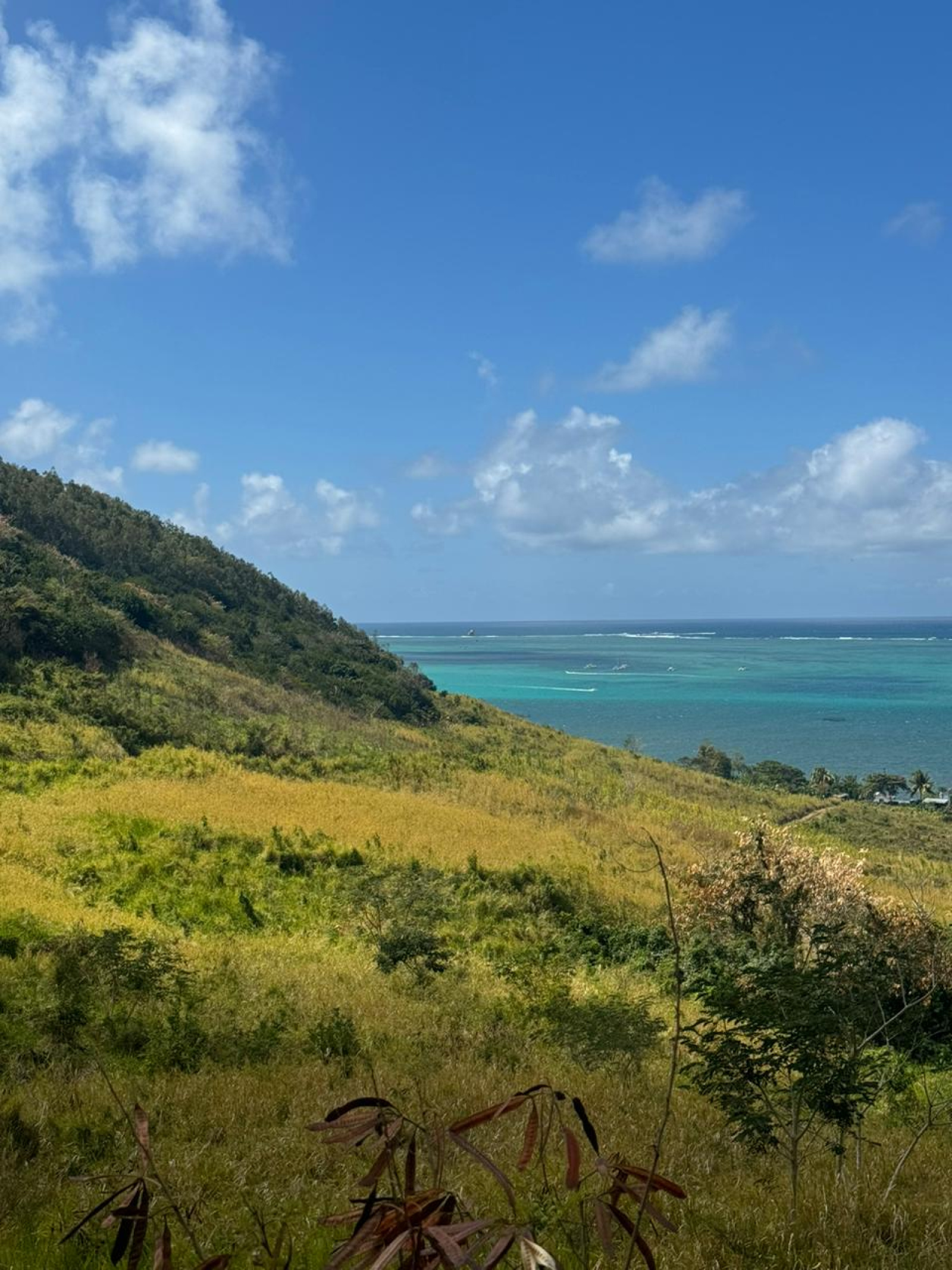 Image_, Terrain agricole, Quatre Soeurs, ref :2506025EG