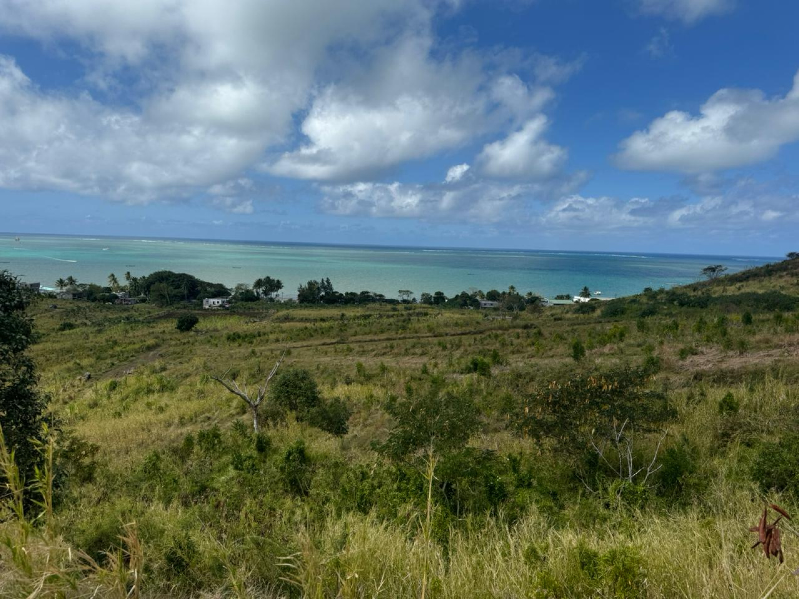 Image_, Terrain agricole, Quatre Soeurs, ref :2506025EG