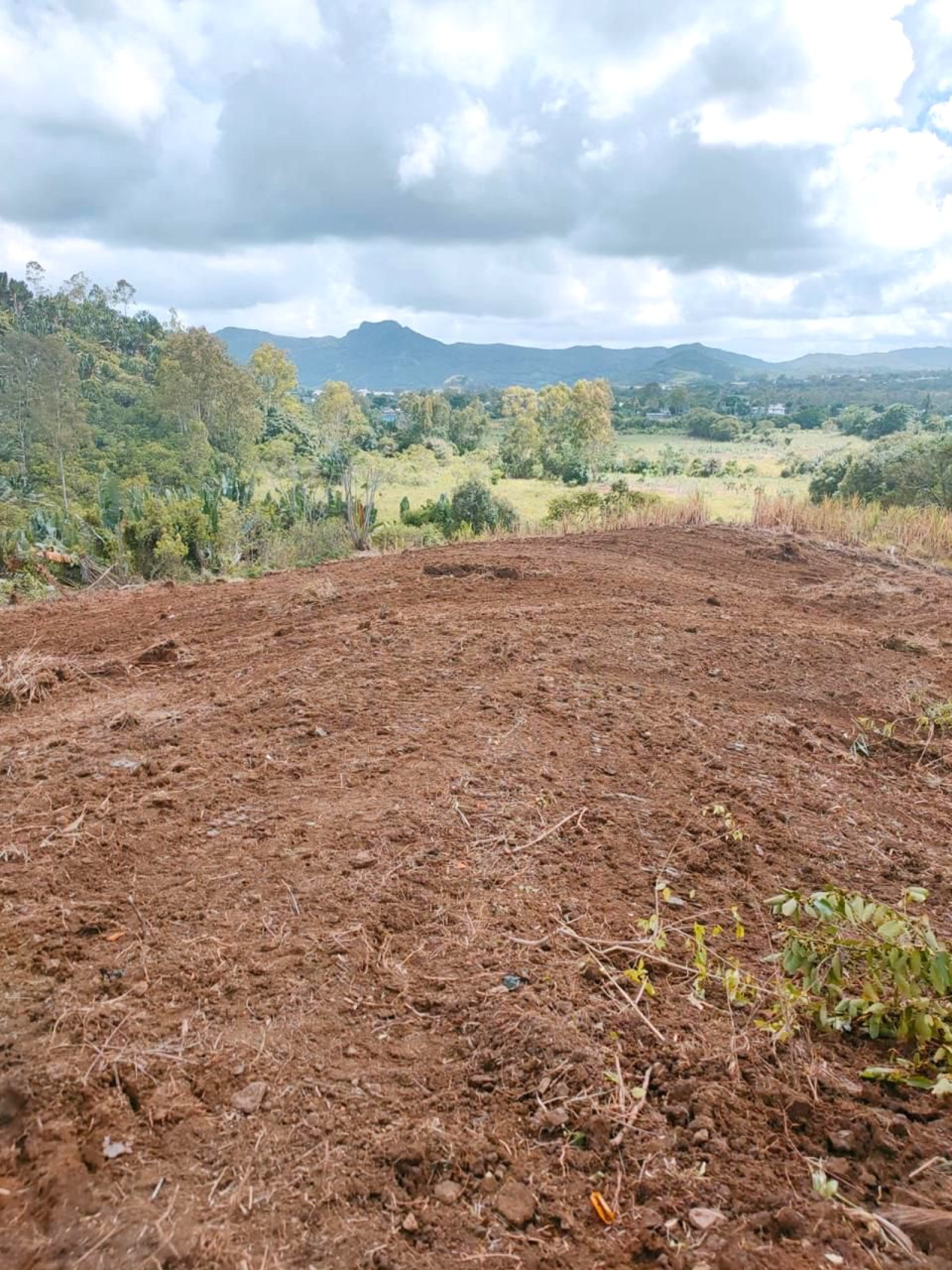 Image_, Terrain agricole, Sebastopol, ref :2510038EG