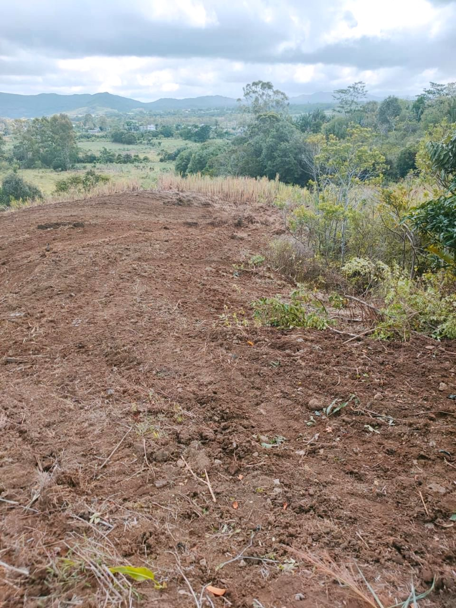 Image_, Terrain agricole, Sebastopol, ref :2510038EG