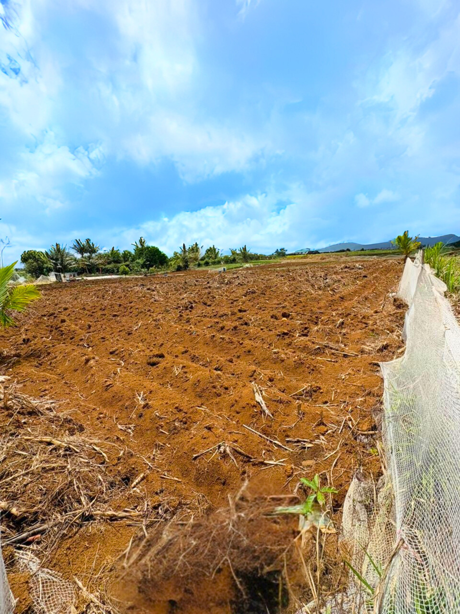 Image_, Terrain à batir, Lalmatie, ref :2511015ROSF