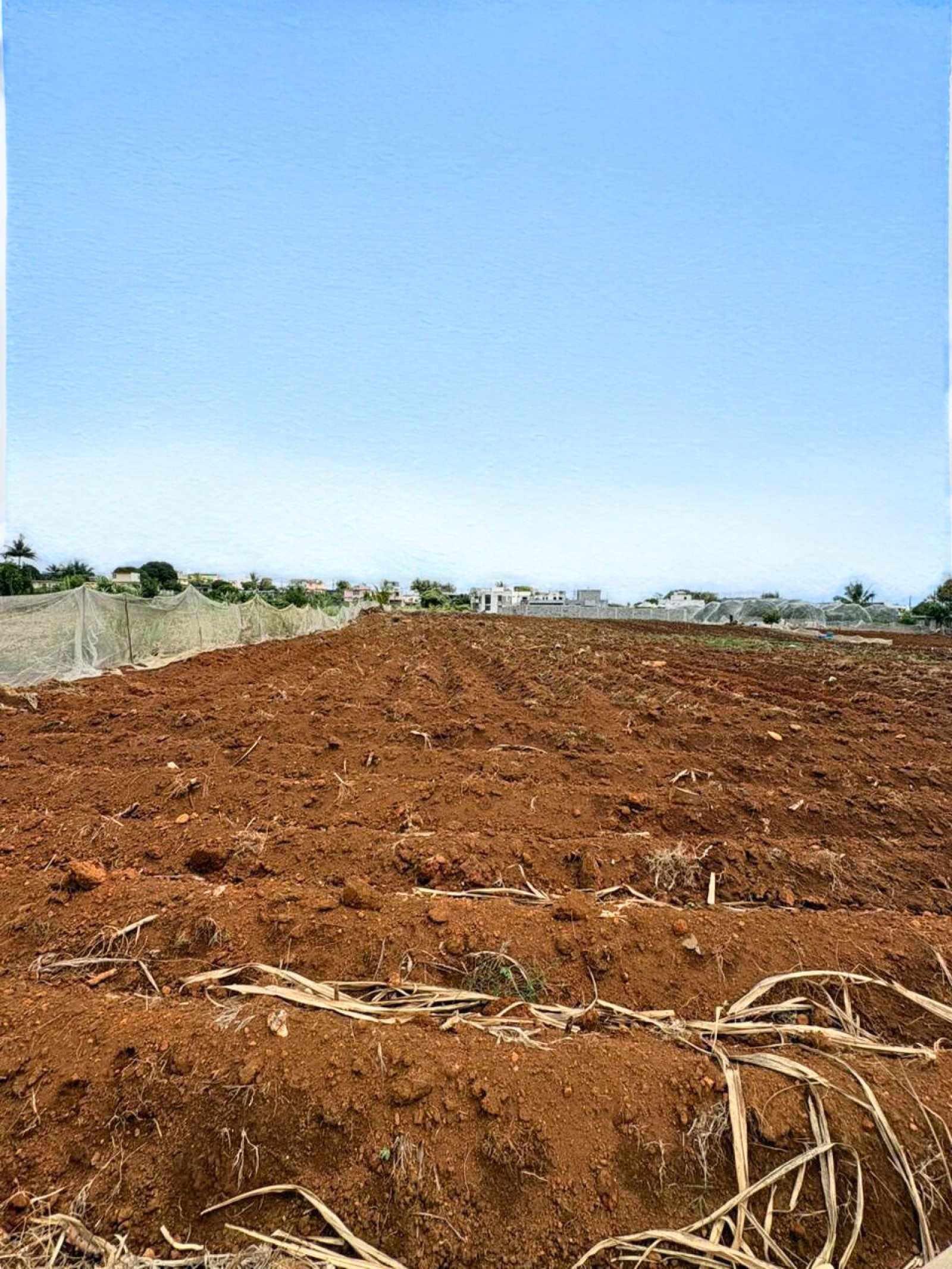 Image_, Terrain à batir, Lalmatie, ref :2511015ROSF