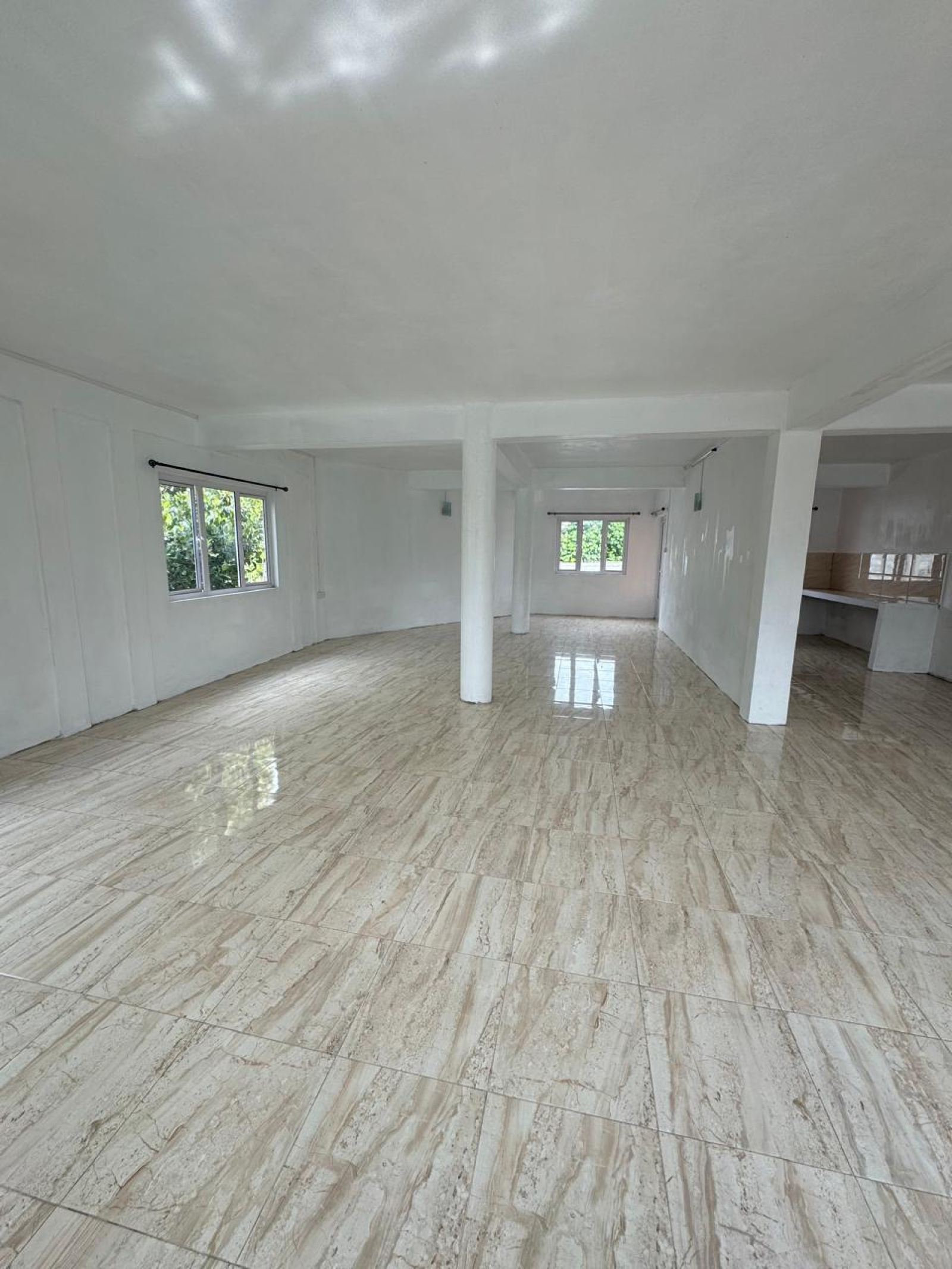 Image_, Local commercial, Bramsthan, ref :2504007DEGSF