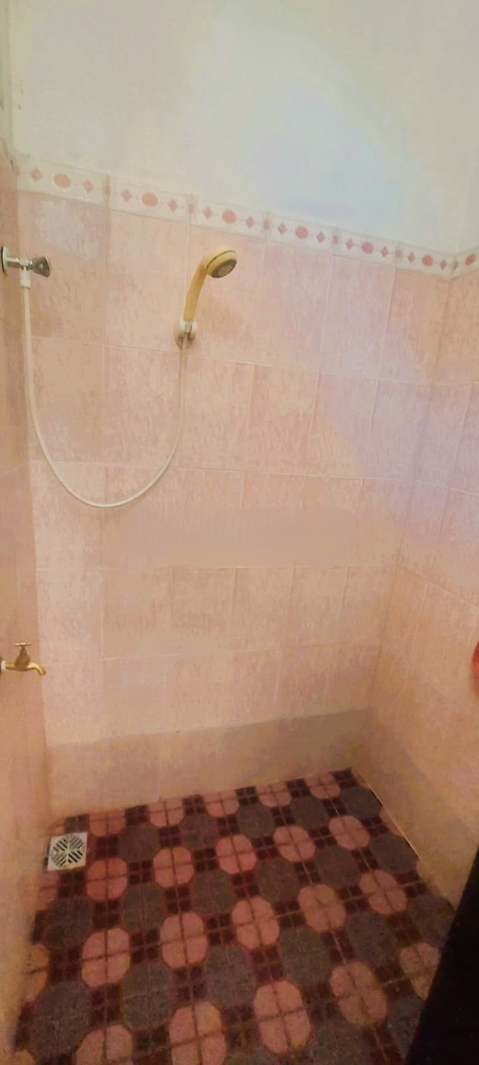 Image_, Appartement, Albion, ref :2510035LM