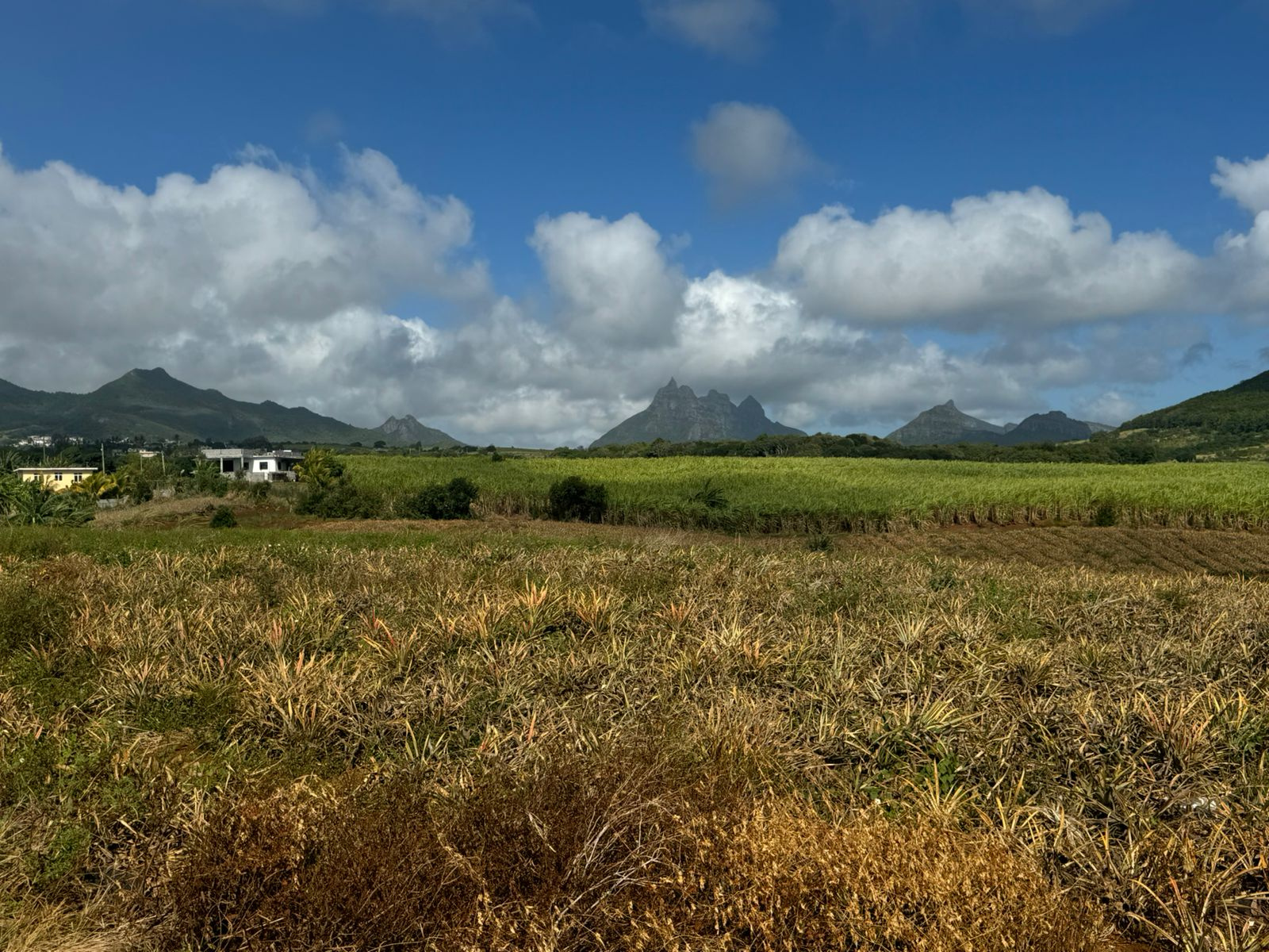 Image_, Terrain agricole, Congomah, ref :2507042EG