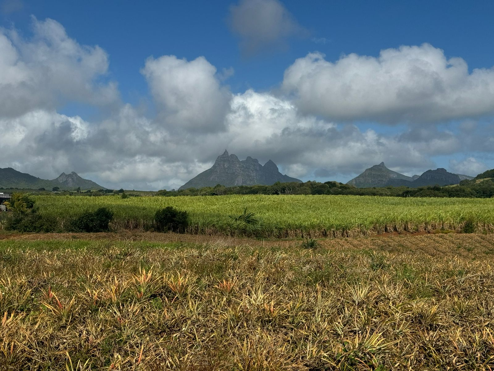 Image_, Terrain agricole, Congomah, ref :2507042EG
