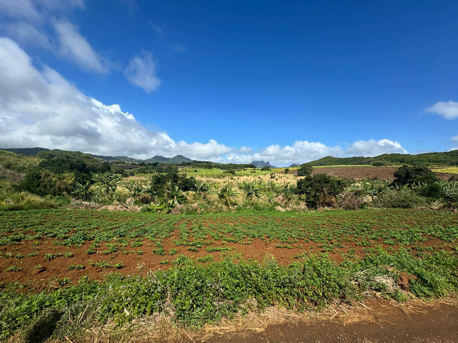 Image_, Terrain agricole, Congomah, ref :2507042EG