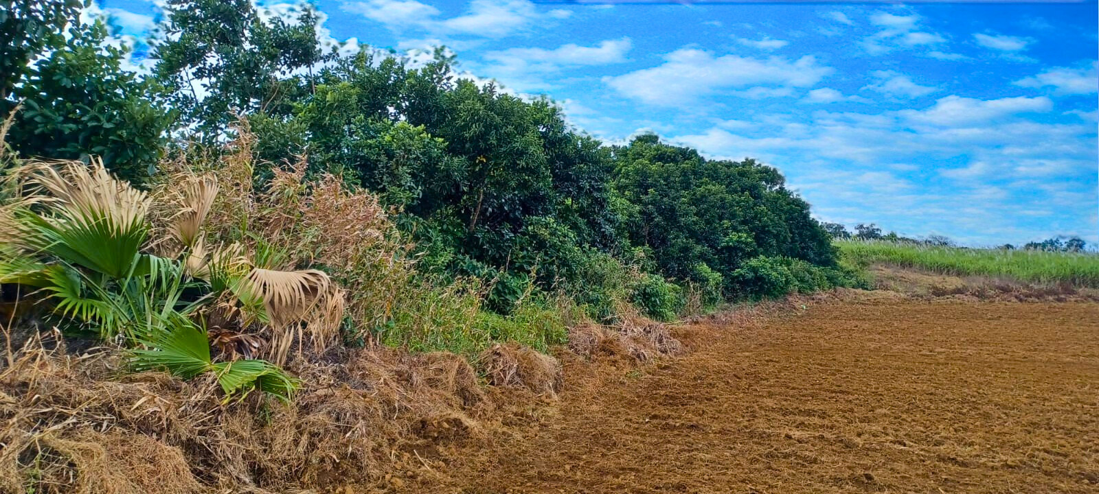 Image_, Terrain agricole, Bois Cheri, ref :2507012EGJM