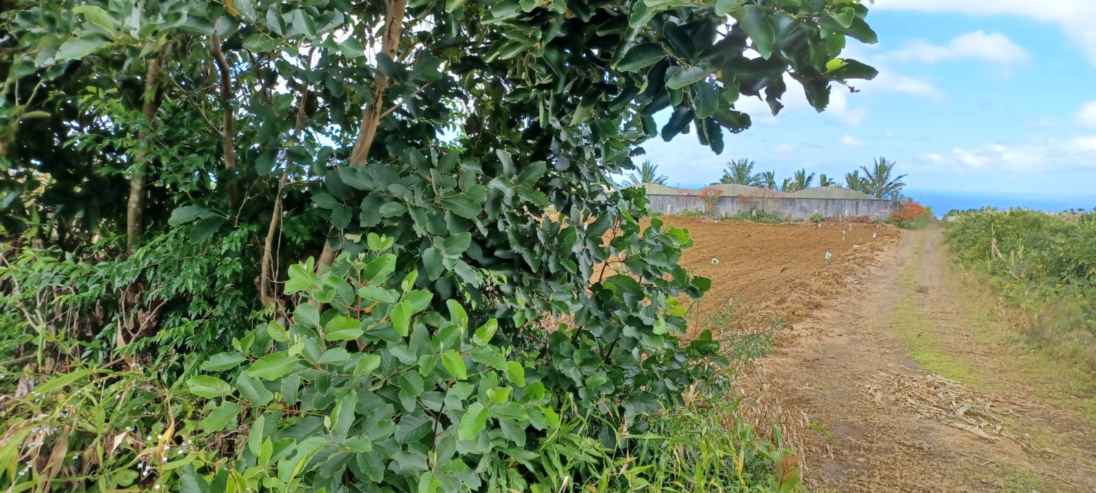 Image_, Terrain agricole, Bois Cheri, ref :2507012EGJM