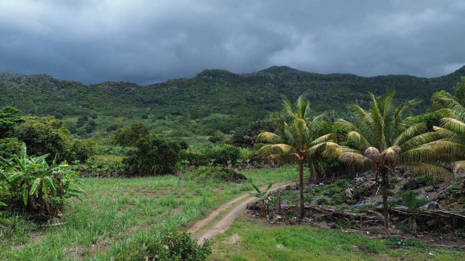 Image_, Terrain à batir, Clemencia, ref :2510020EGJM