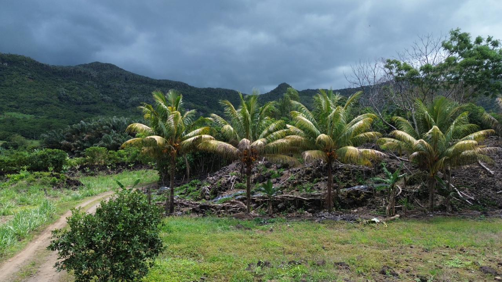 Image_, Terrain à batir, Clemencia, ref :2510020EGJM
