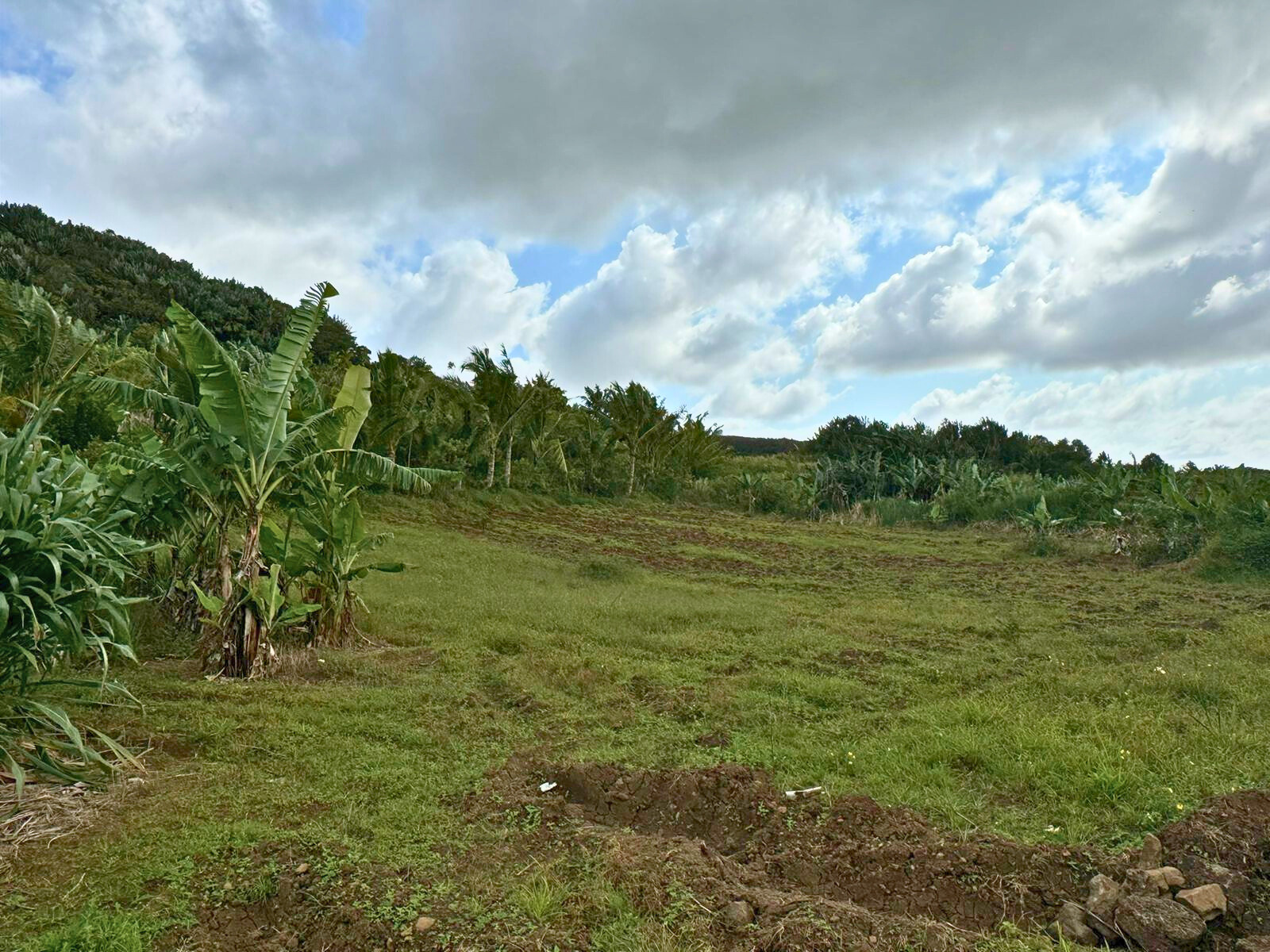 Image_, Terrain agricole, Bon Accueil, ref :2509043EG