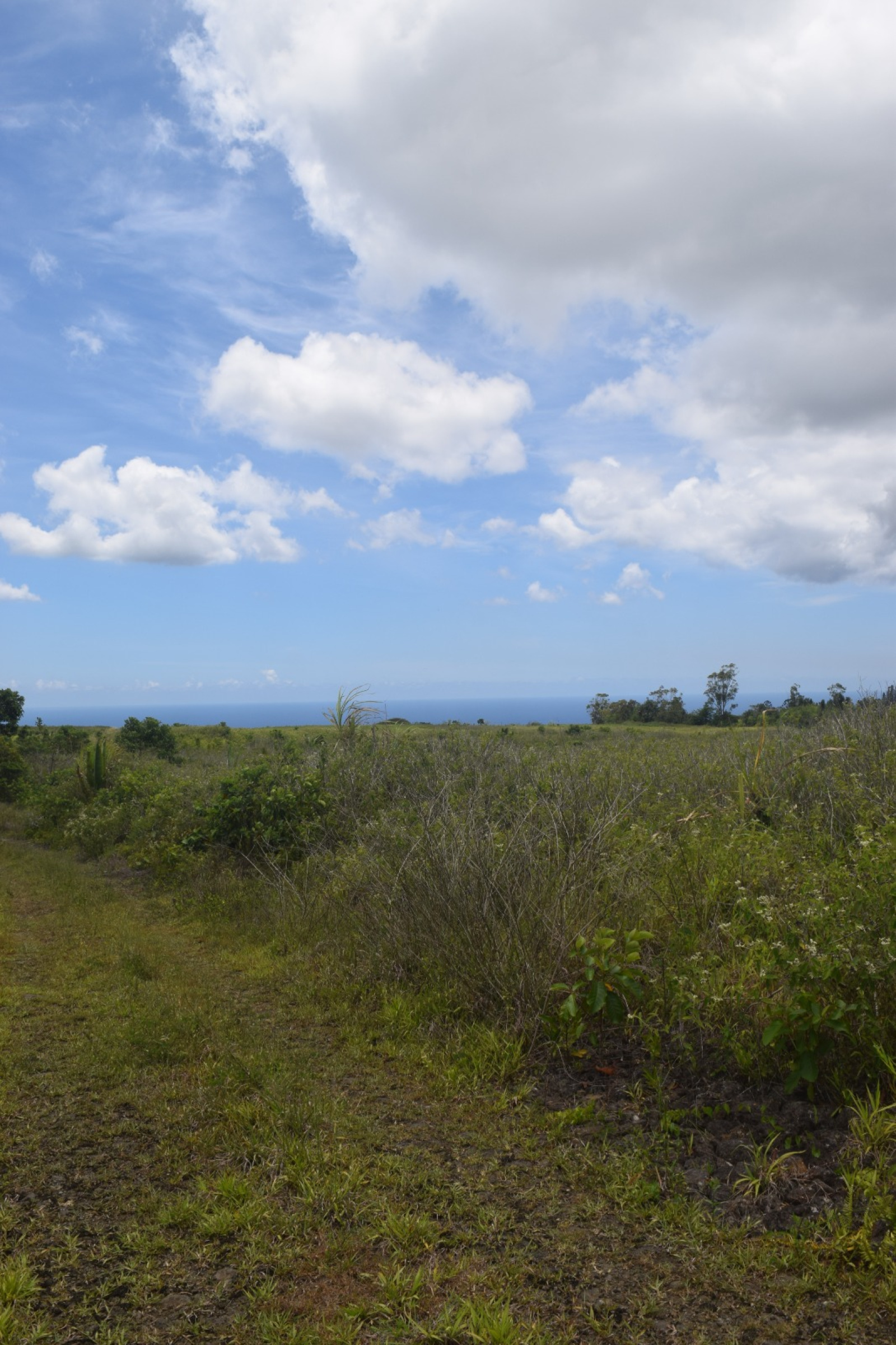 Image_, Terrain agricole, Bois Cheri, ref :2512003LS