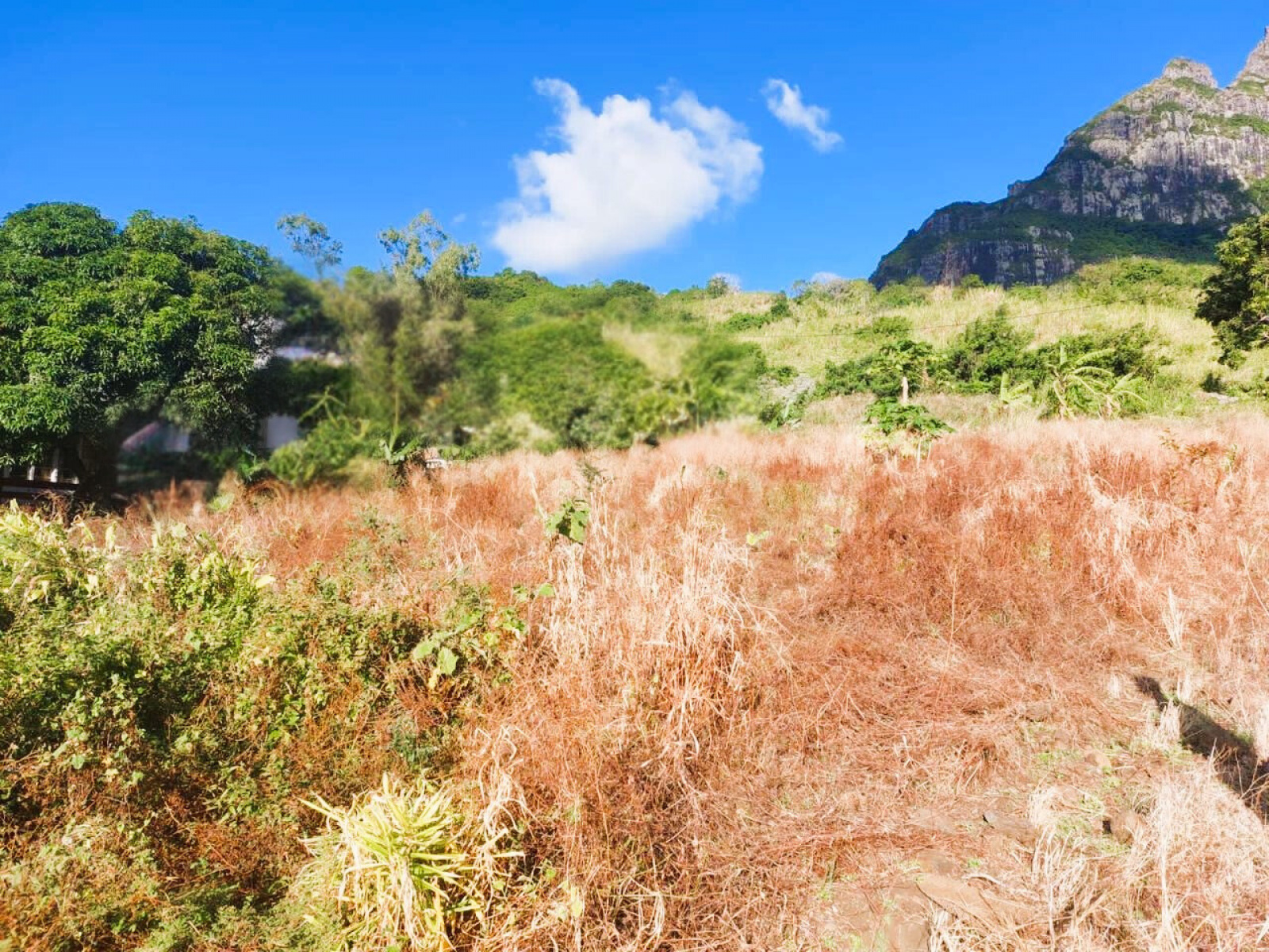 Image_, Terrain à batir, Port-Louis, ref :24010017JM