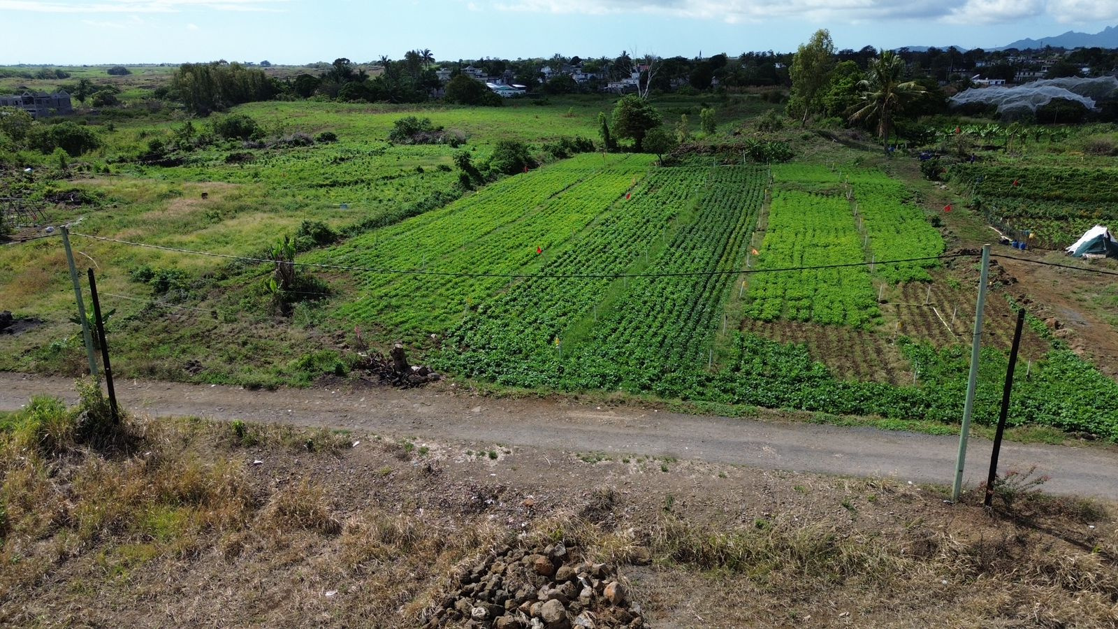 Image_, Terrain à batir, Poste de Flacq, ref :2510044DEGJM