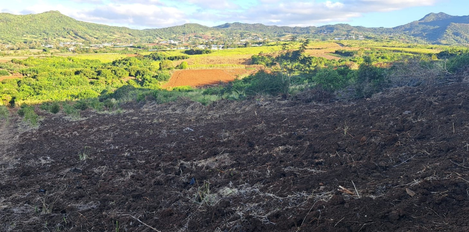 Image_, Terrain agricole, Long Mountain, ref :2510019EGJM