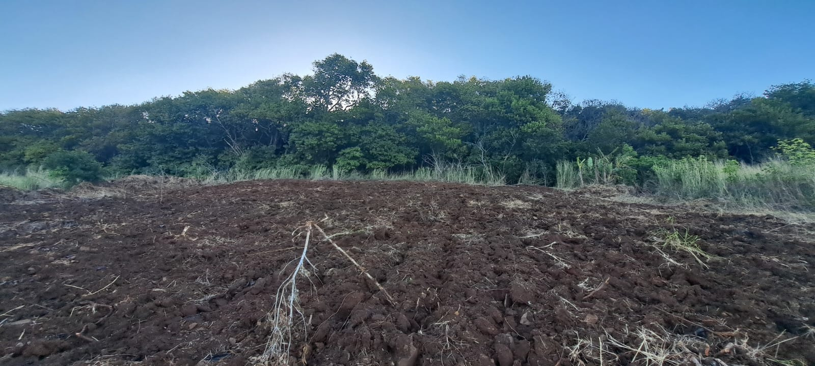 Image_, Terrain agricole, Long Mountain, ref :2510019EGJM