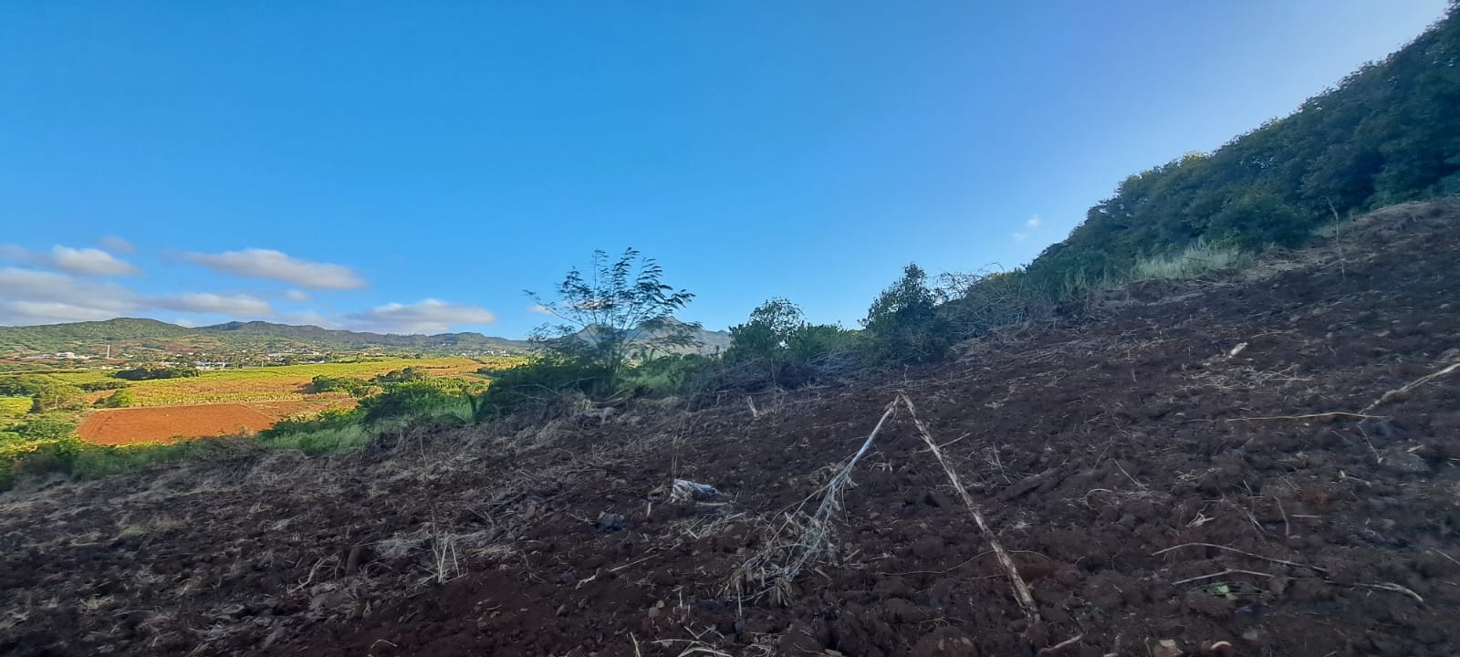 Image_, Terrain agricole, Long Mountain, ref :2510019EGJM