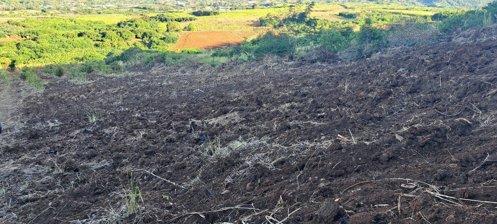 Image_, Terrain agricole, Long Mountain, ref :2510019EGJM
