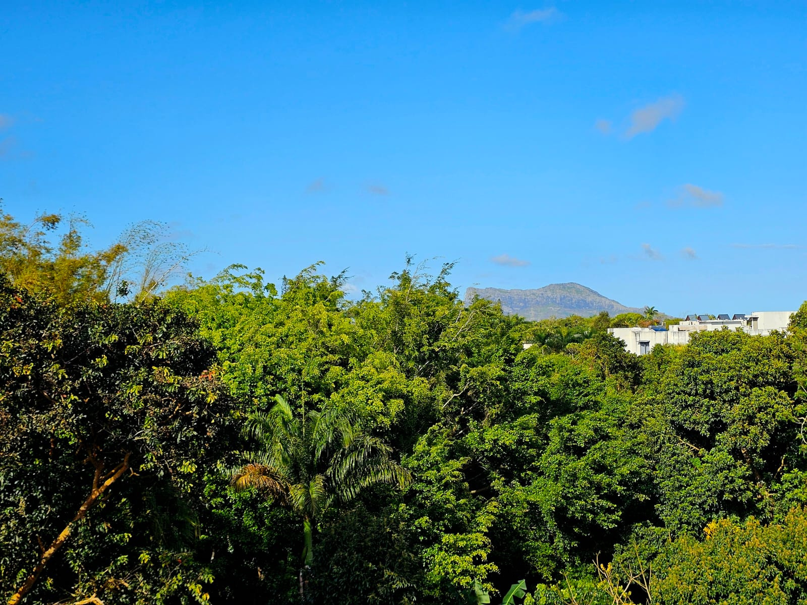 Image_, Appartement, Long Mountain, ref :2510021LL