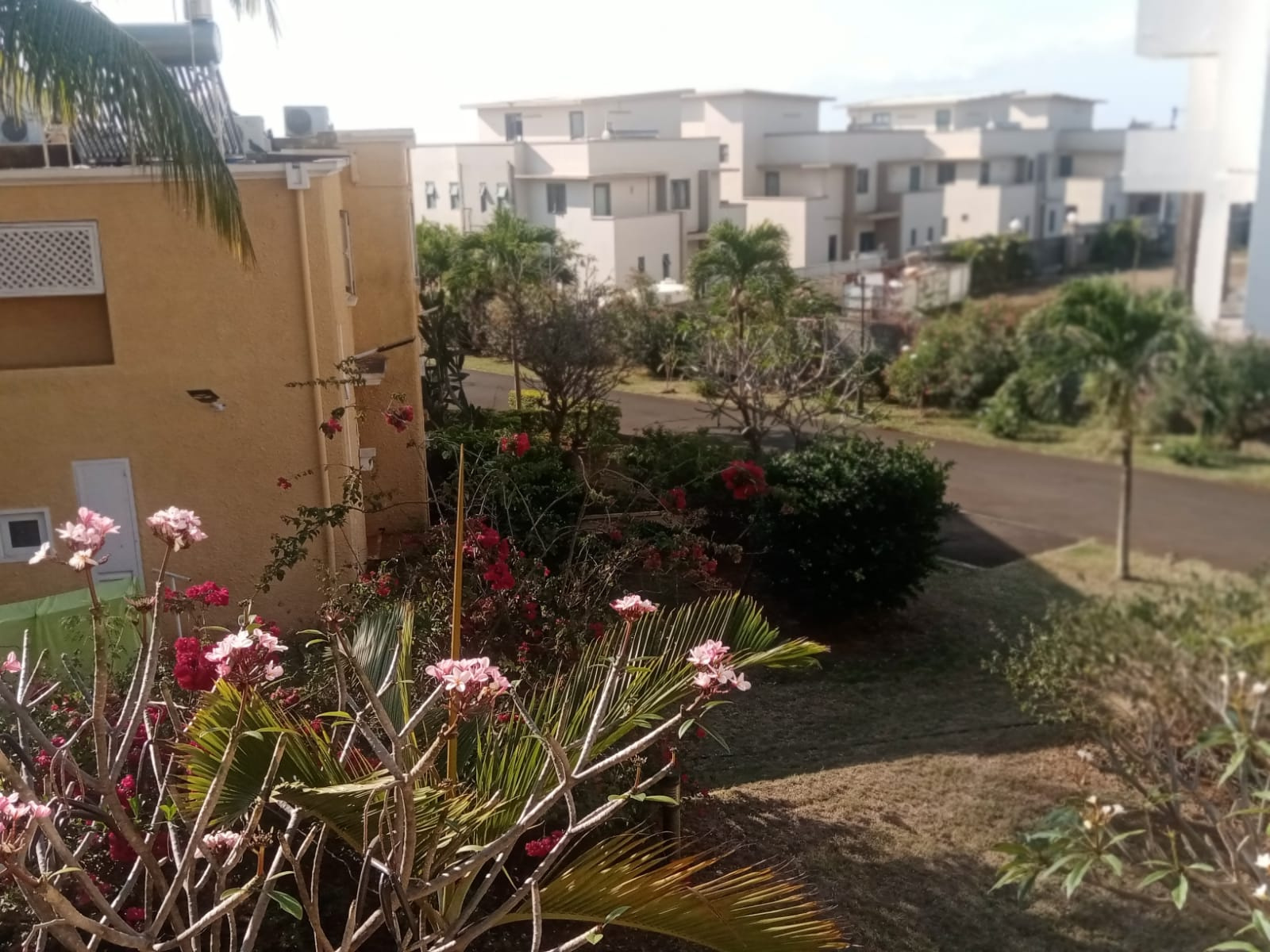 Image_, Appartement, Albion, ref :2509007NM