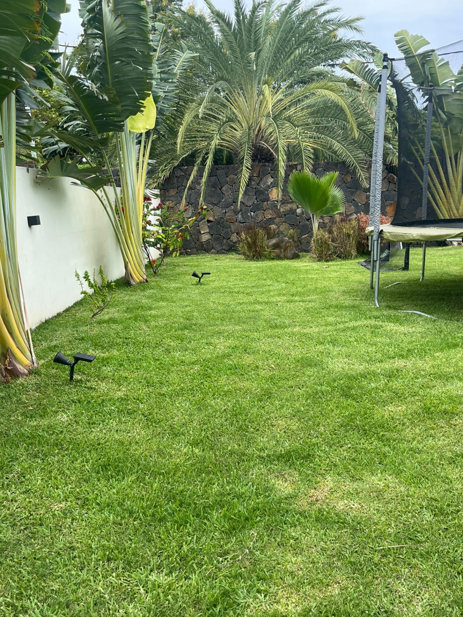 Image_, Maison, Tamarin, ref :2601013GM