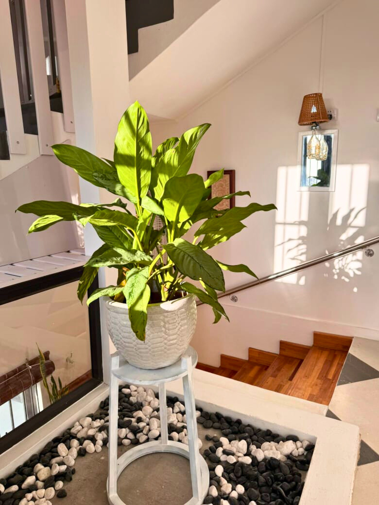 Image_, Appartement, Grand Baie, ref :2602010GM