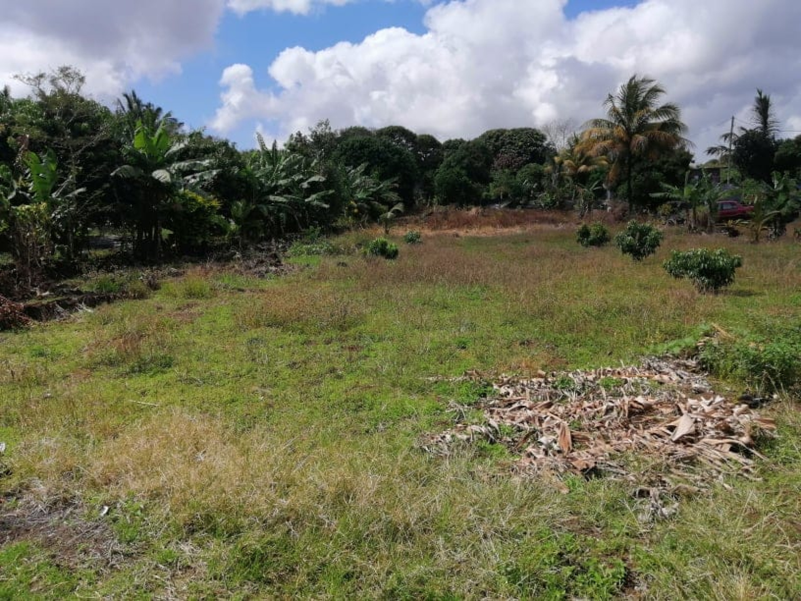 Image_, Terrain à batir, Brisee Verdiere, ref :2508031EGLM