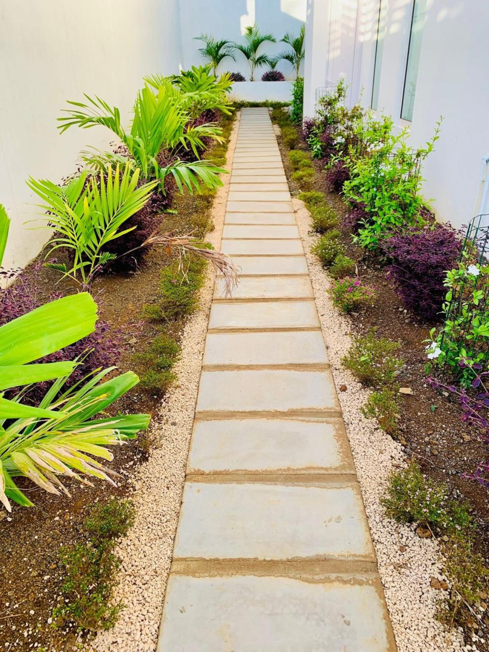 Image_, Maison, Cascavelle, ref :2512011SG