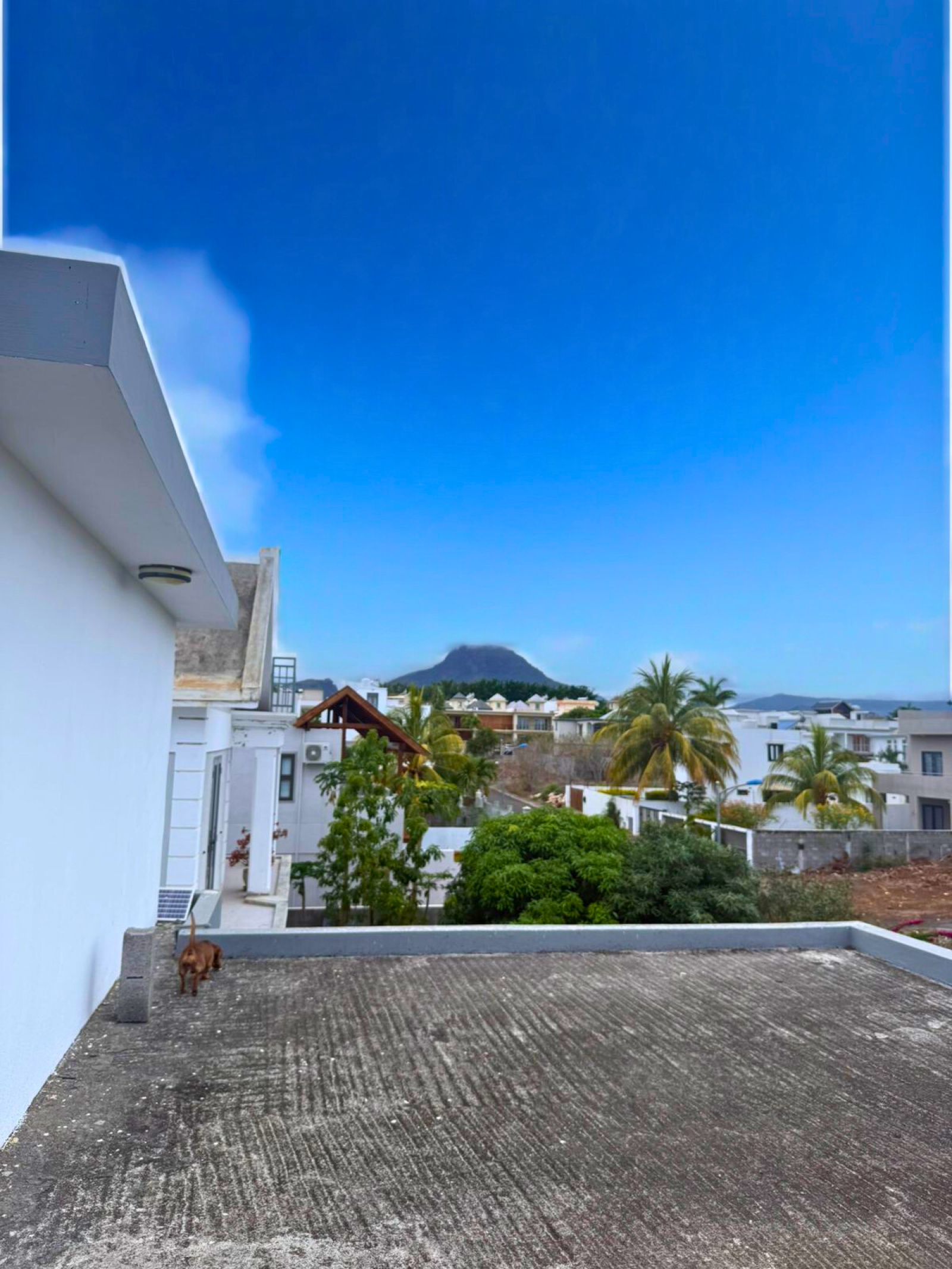 Image_, Maison, Flic en Flac, ref :2511006ESHK