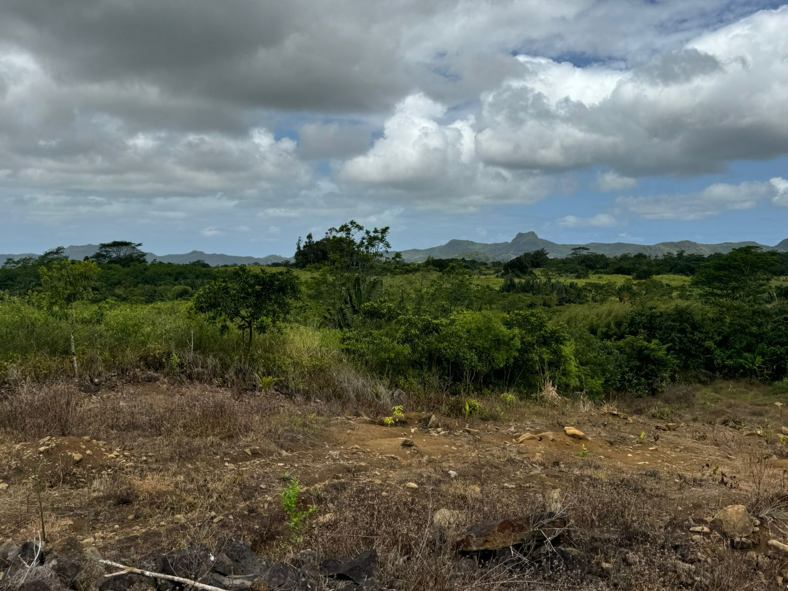 Image_, Terrain agricole, Montagne Blanche, ref :2509046EG