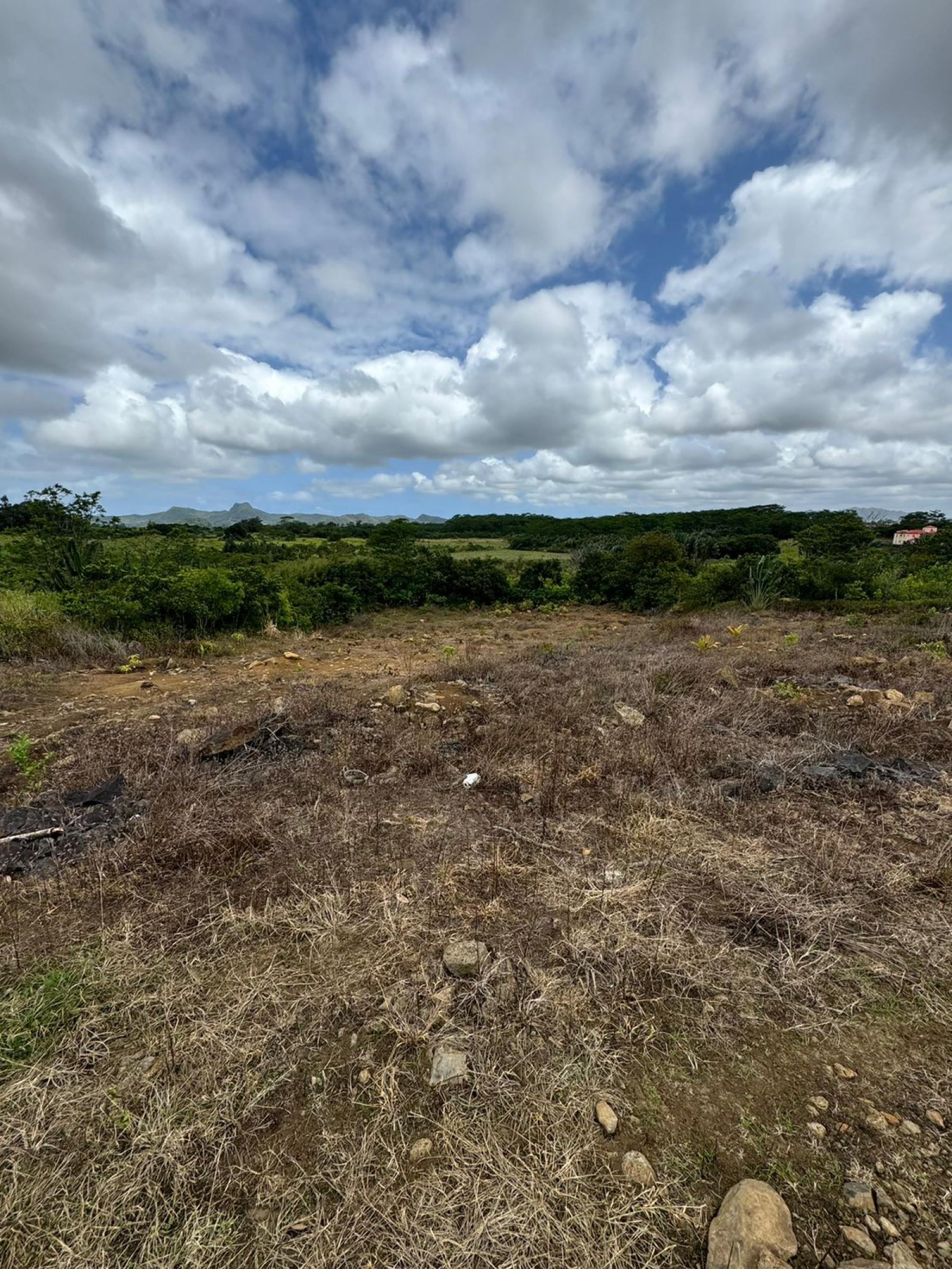 Image_, Terrain agricole, Montagne Blanche, ref :2509046EG