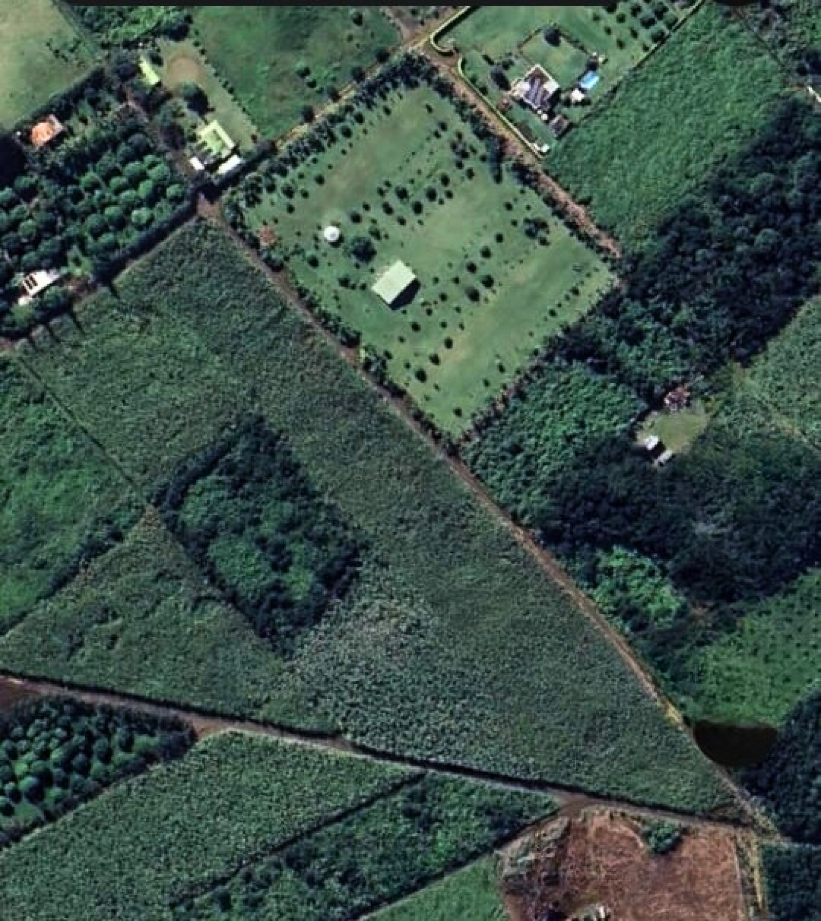 Image_, Terrain agricole, New Grove, ref :2505001EG