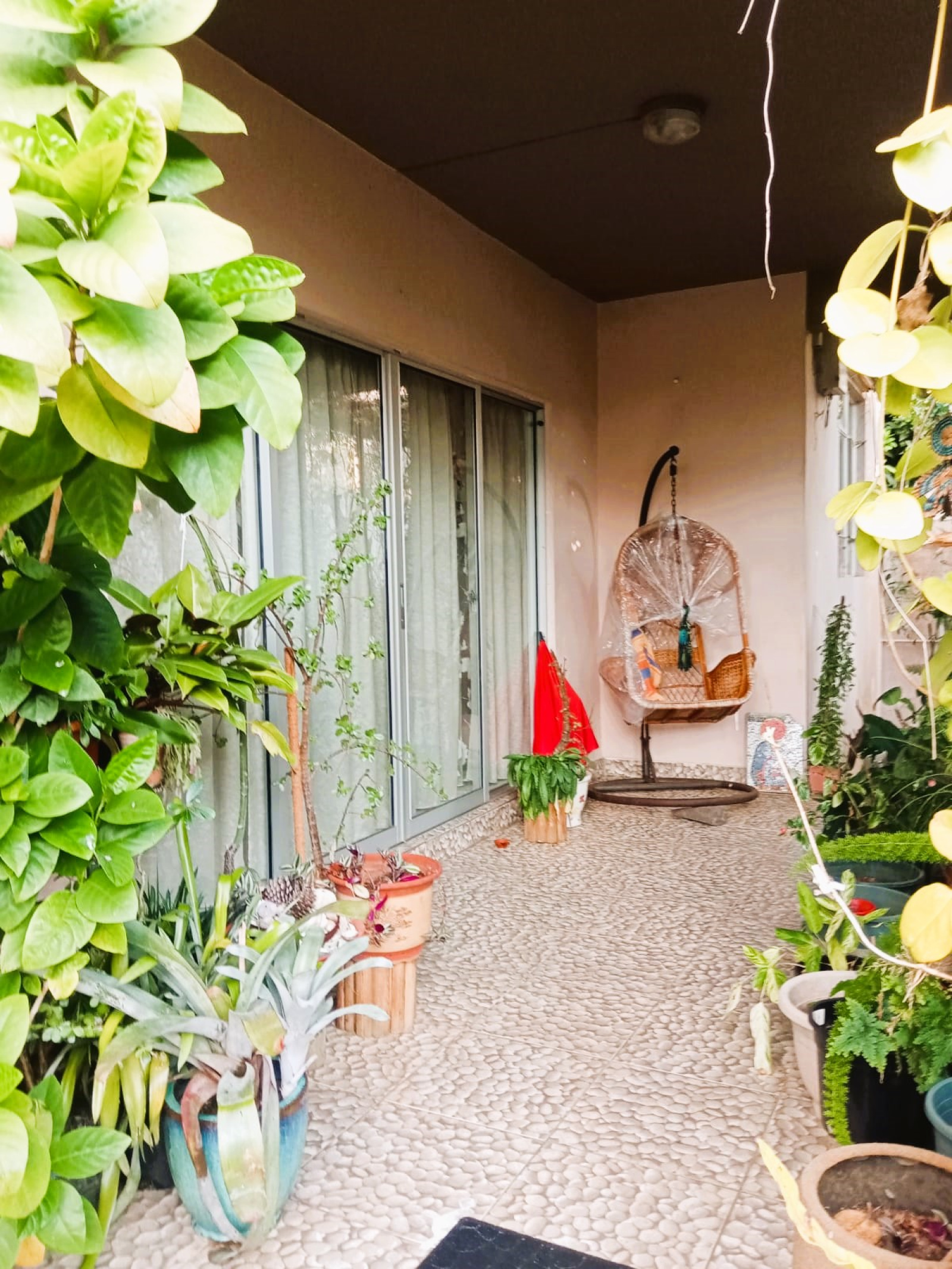 Image_, Maison, Vacoas / Floreal, ref :2509025NMRO