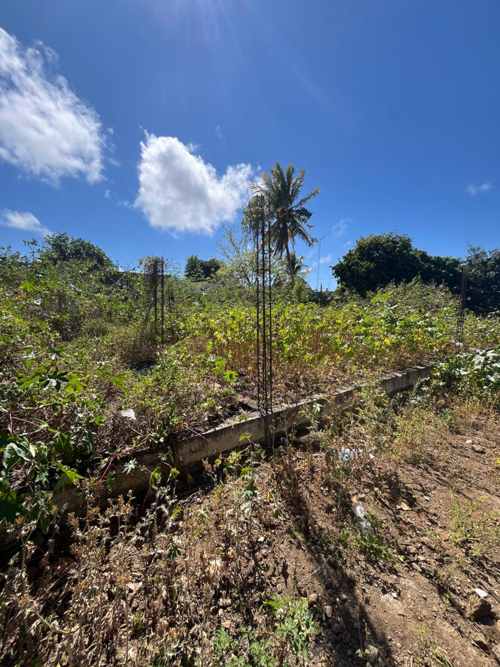 Image_, Terrain à batir, Goodlands, ref :2511008EGSF