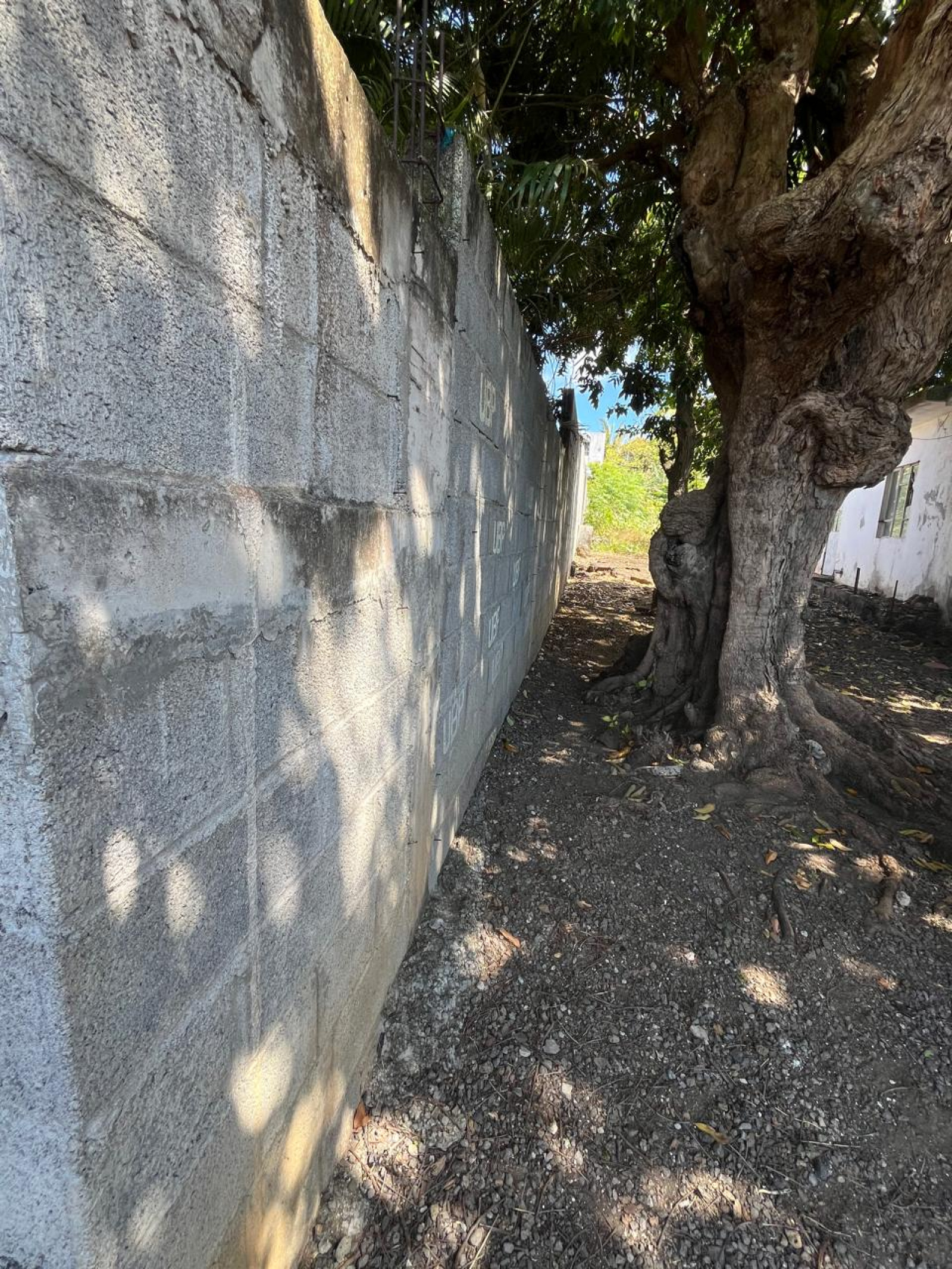 Image_, Terrain à batir, Goodlands, ref :2511008EGSF