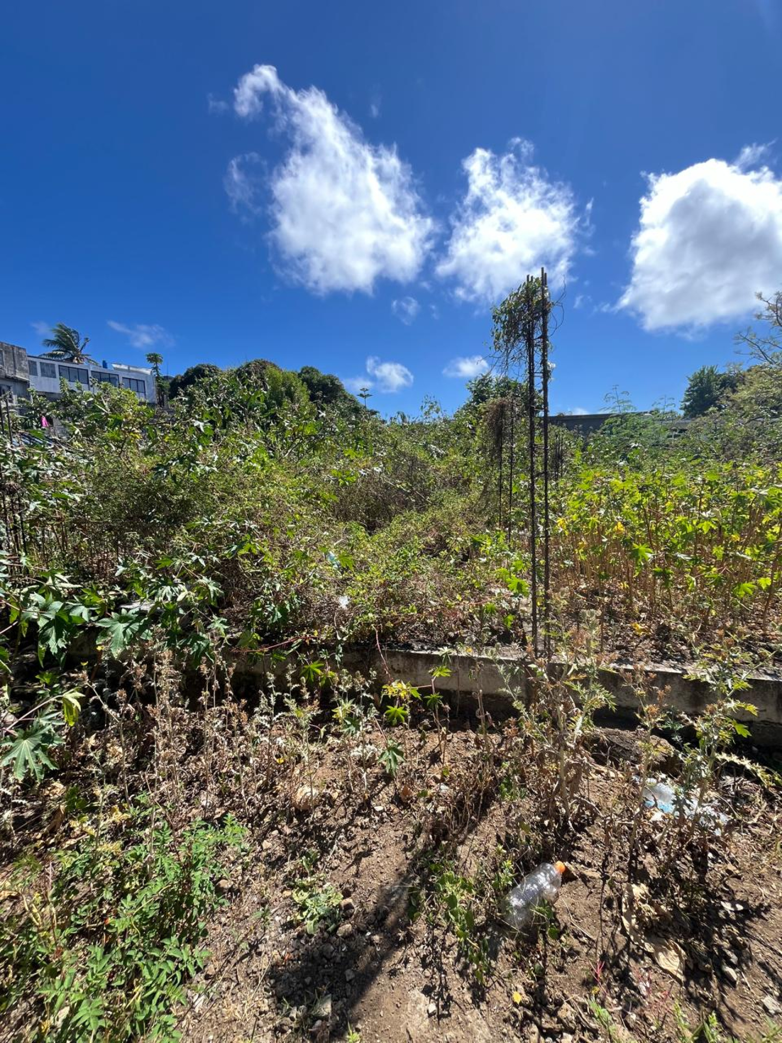 Image_, Terrain à batir, Goodlands, ref :2511008EGSF