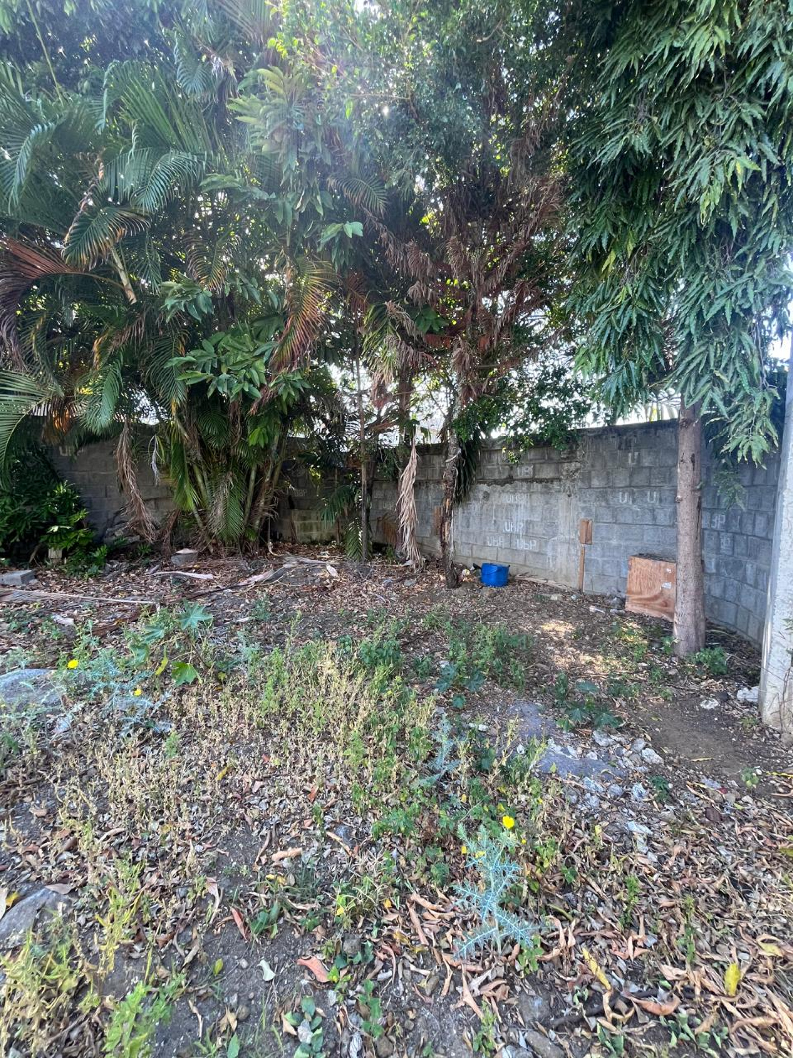 Image_, Terrain à batir, Goodlands, ref :2511008EGSF