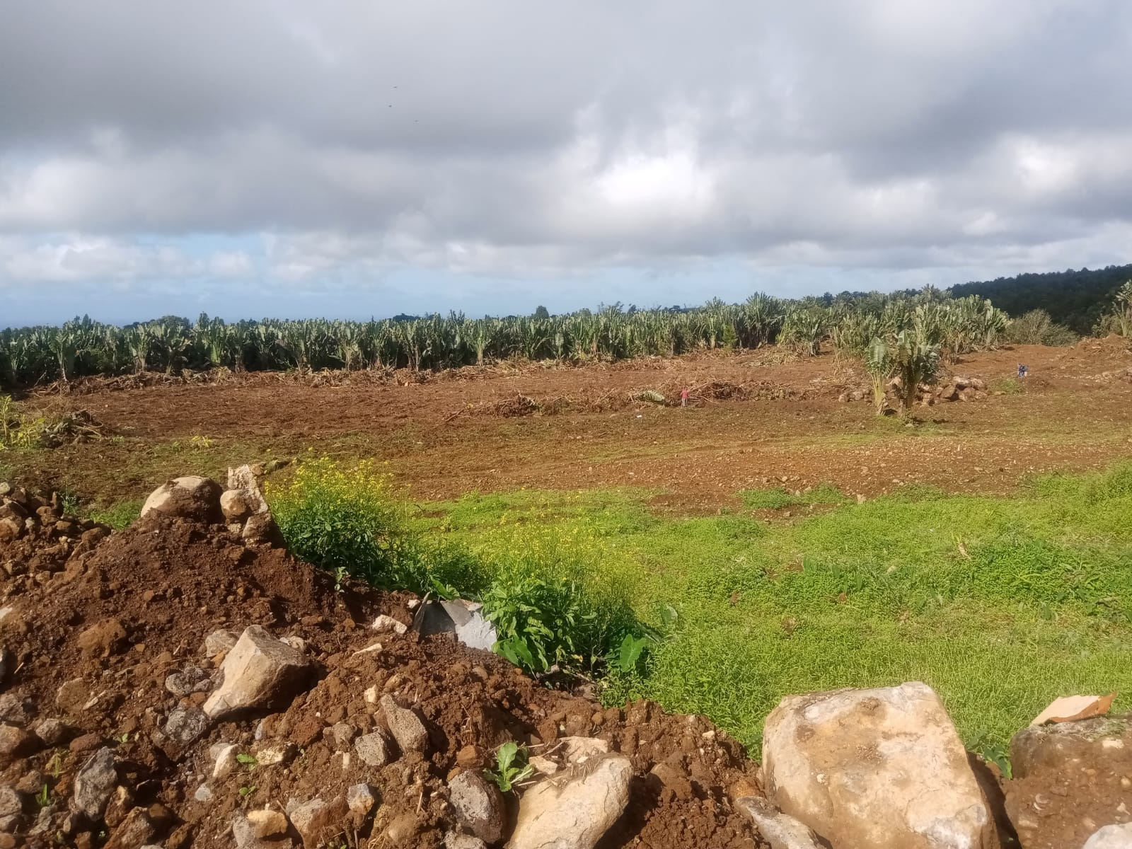 Image_, Terrain agricole, Nouvelle France, ref :2505016EGNM
