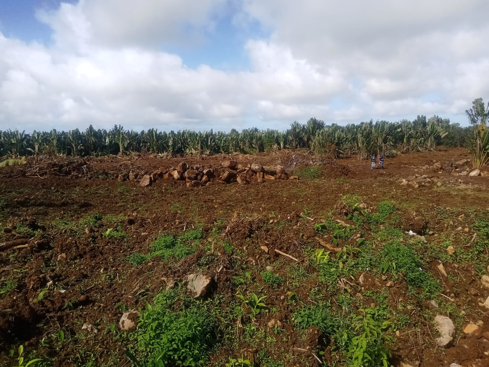 Image_, Terrain agricole, Nouvelle France, ref :2505016EGNM