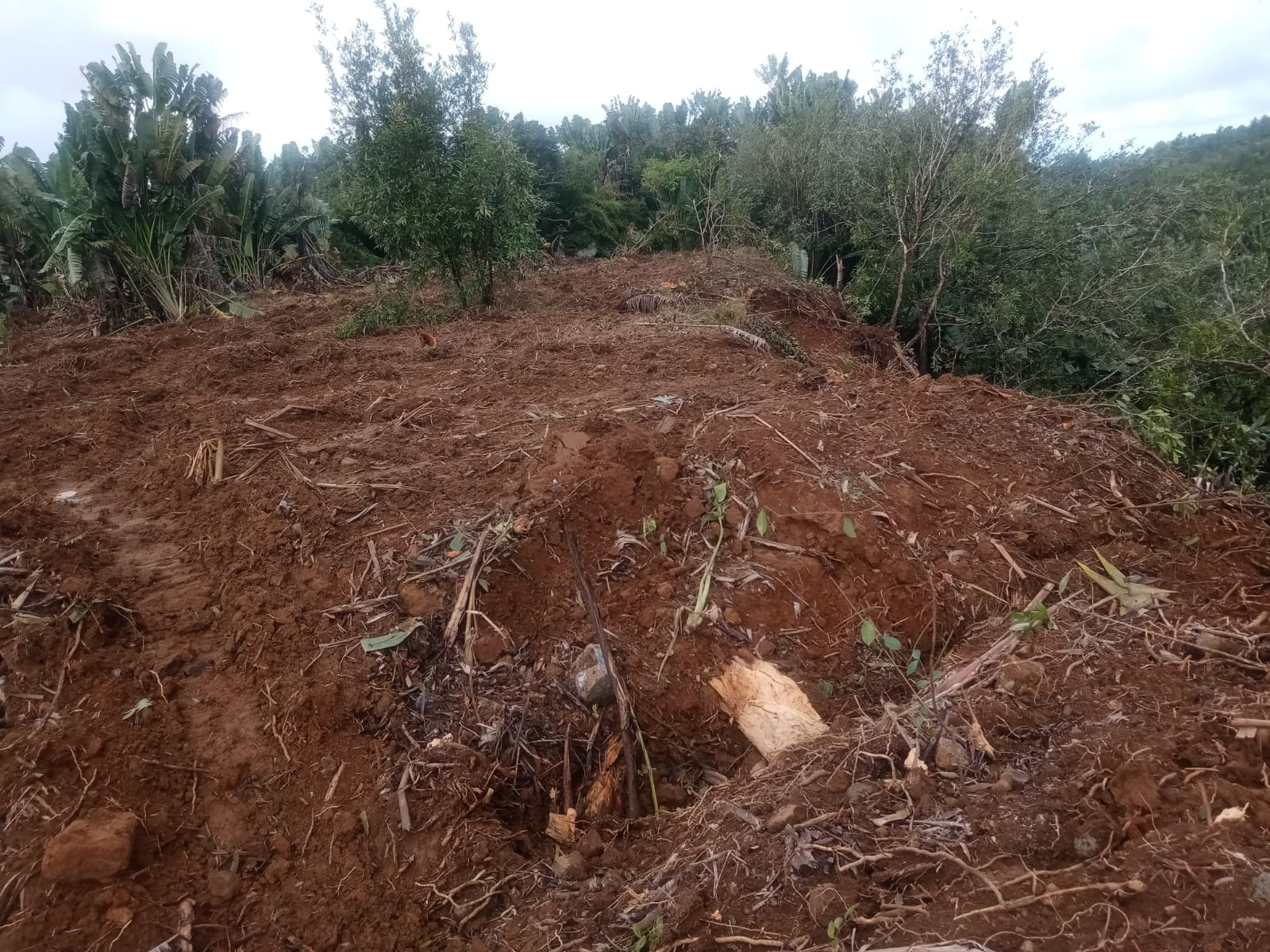 Image_, Terrain agricole, Nouvelle France, ref :2505016EGNM