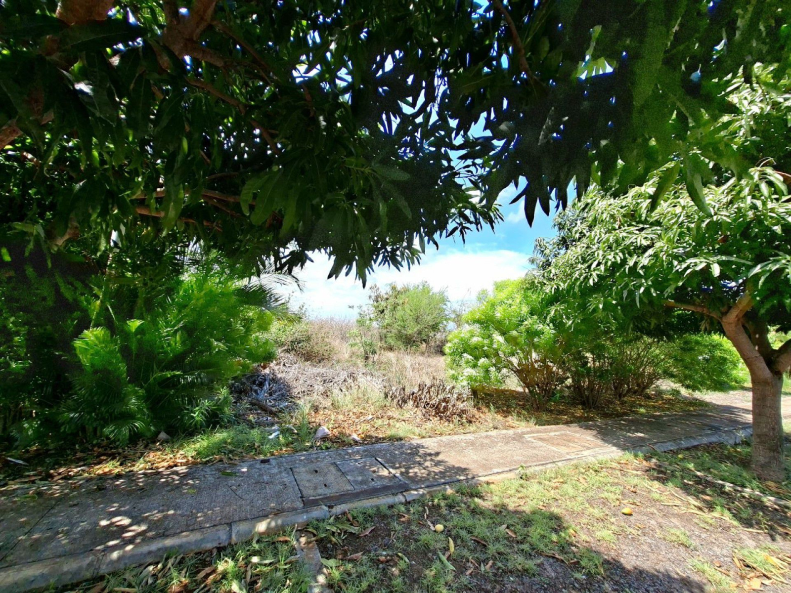 Image_, Terrain à batir, Flic en Flac, ref :2601017ESHK