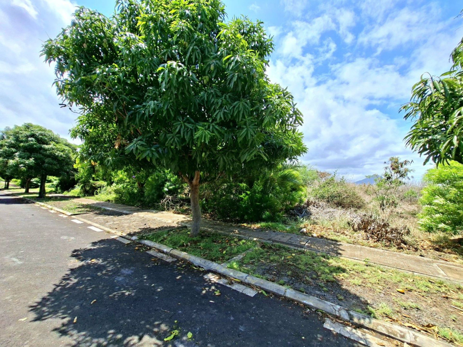 Image_, Terrain à batir, Flic en Flac, ref :2601017ESHK