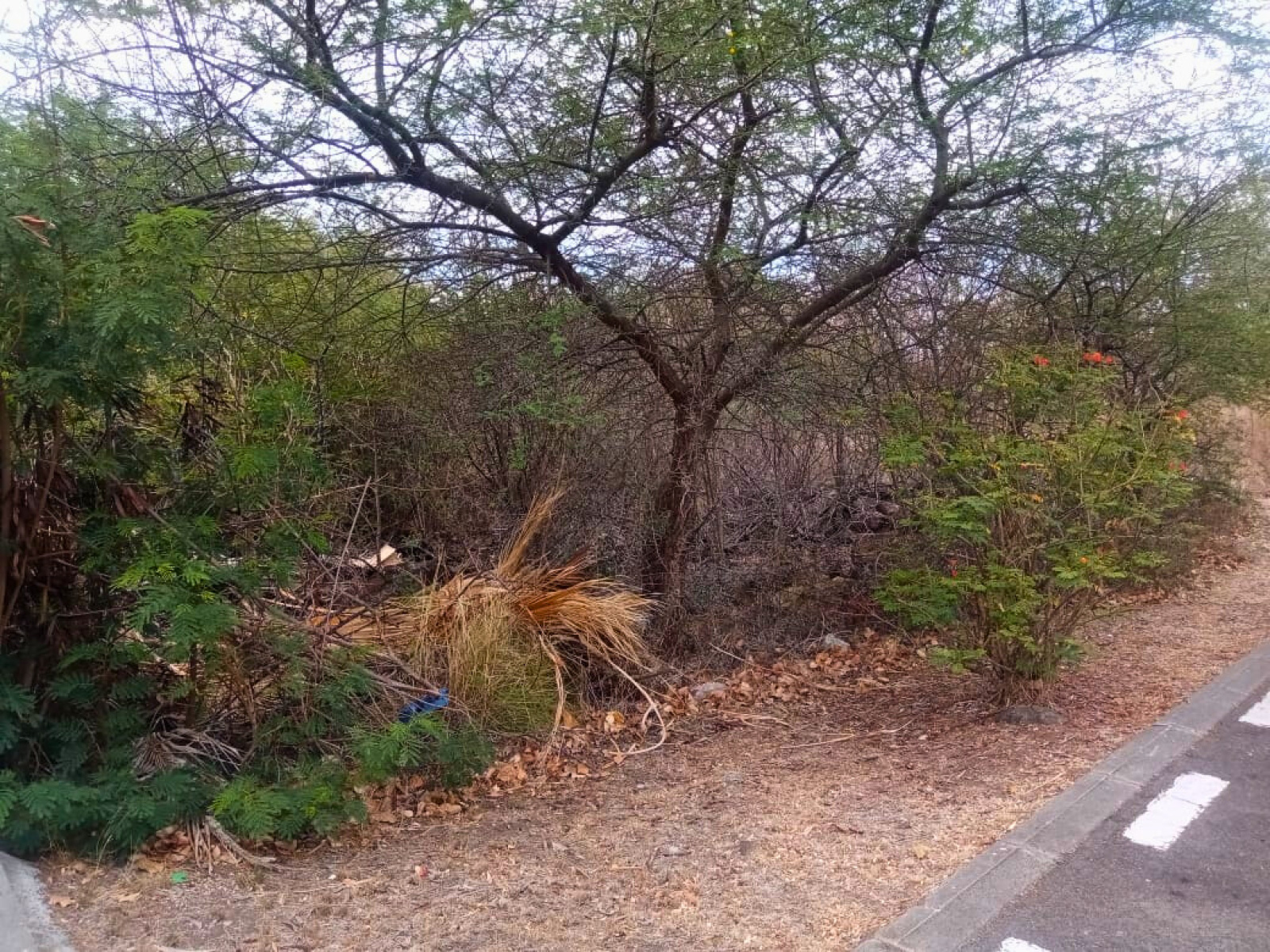 Image_, Terrain à batir, Tamarin, ref :2510055EGJN