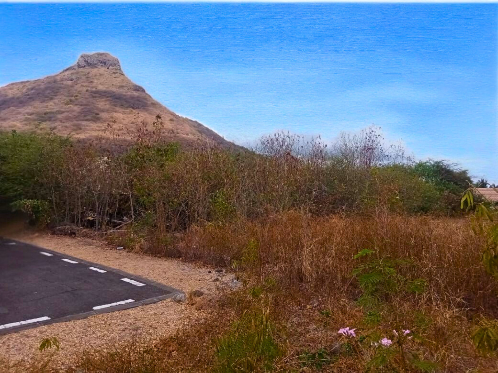 Image_, Terrain à batir, Tamarin, ref :2510055EGJN