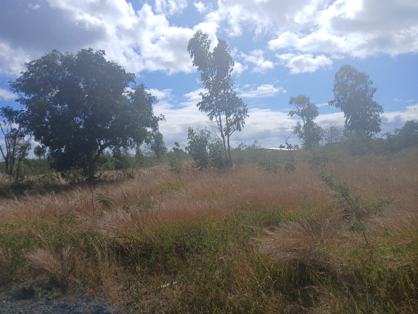Image_, Terrain à batir, Albion, ref :2507031SV