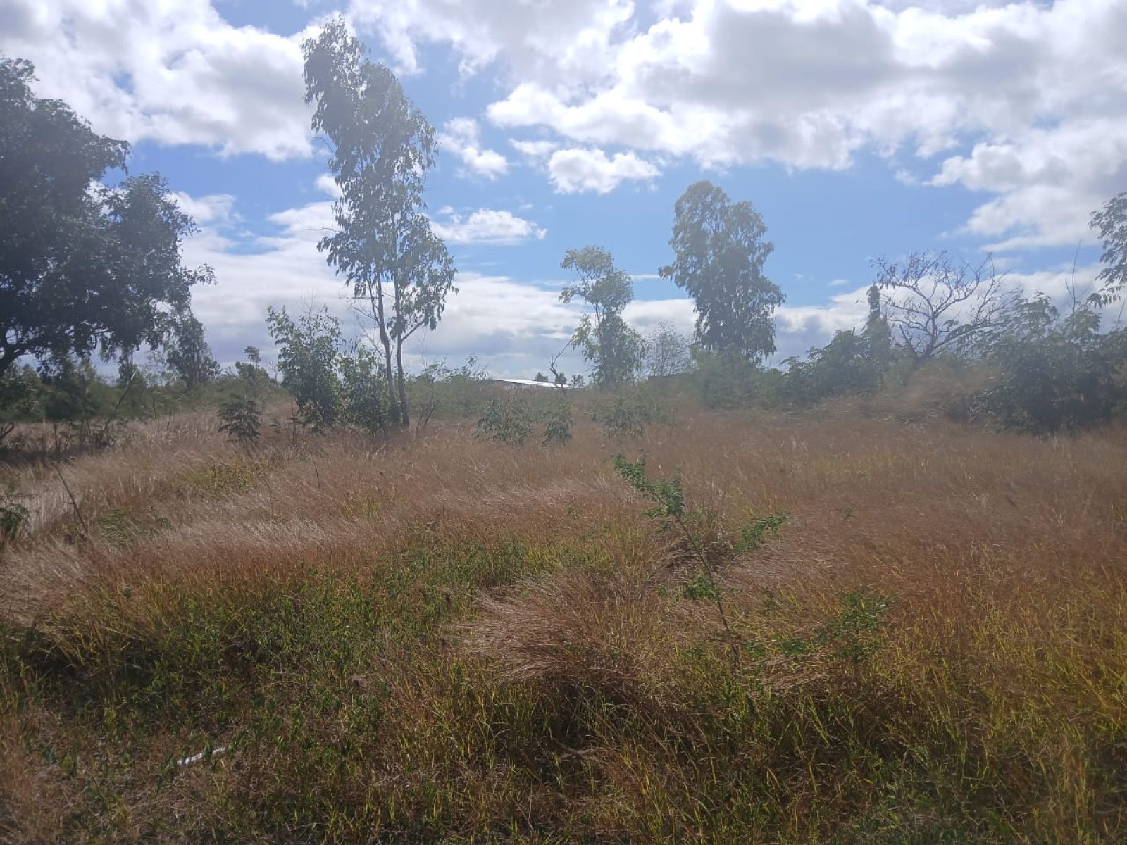Image_, Terrain à batir, Albion, ref :2507031SV