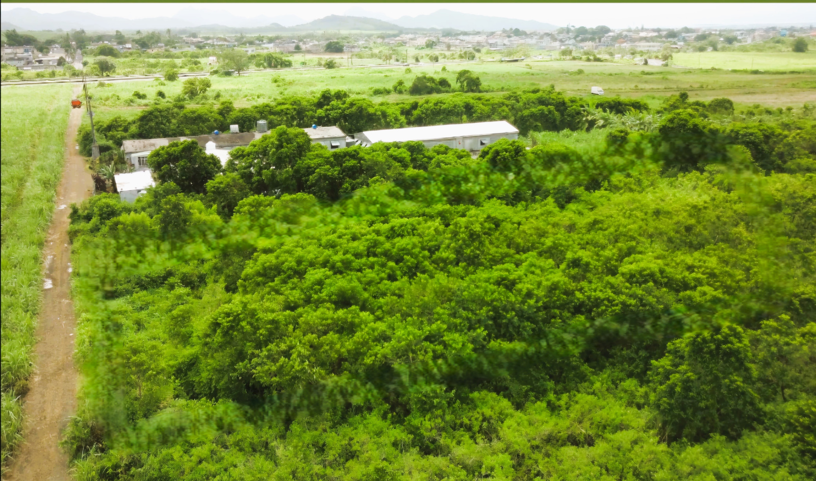 Image_, Terrain agricole, Rose Belle, ref :2507027EG