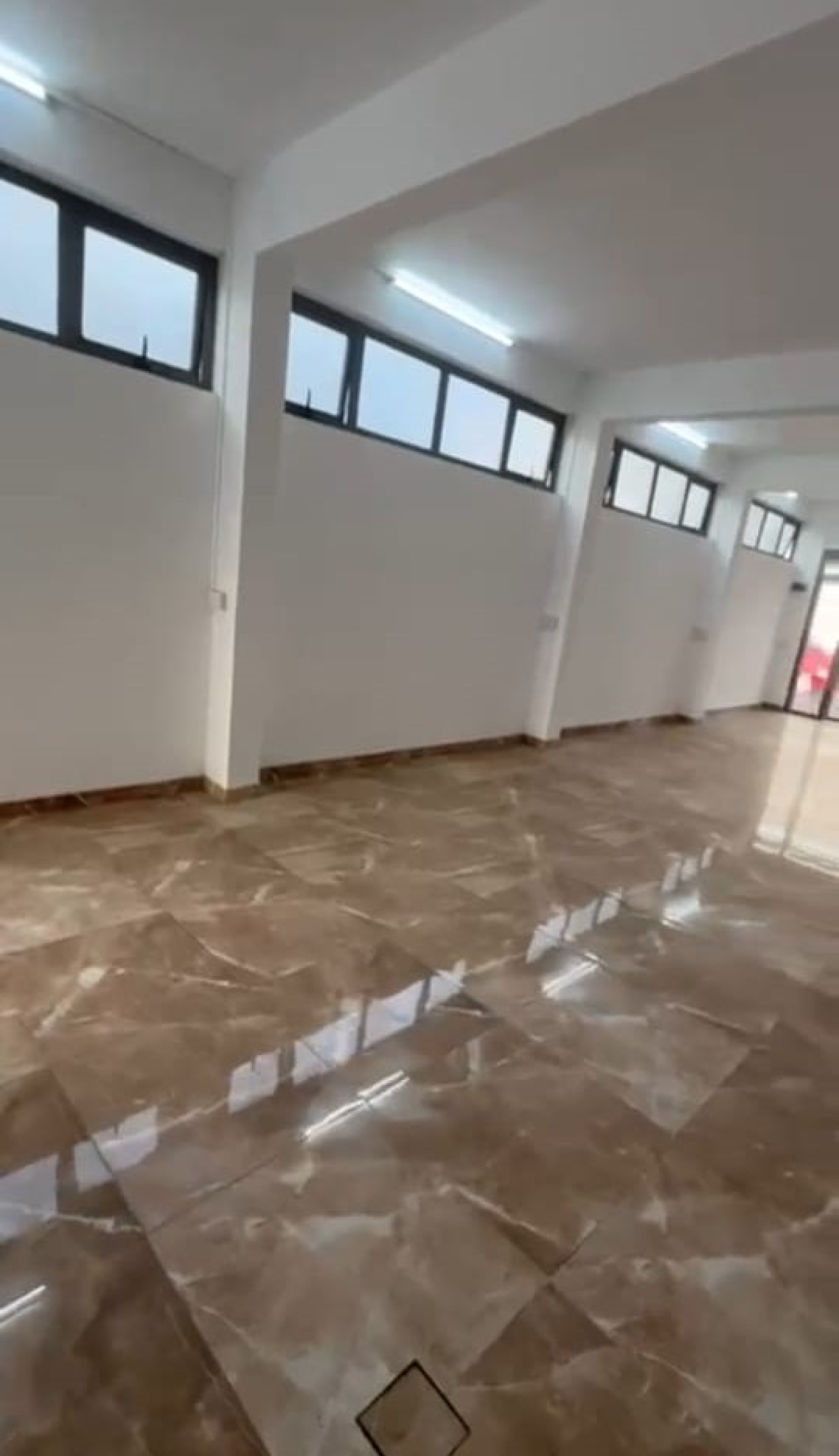 Image_, Local commercial, Pamplemousses, ref :2510032JZ